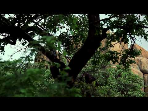 Chimurenga Renaissance - It's Time 4u2go (Official Music Video)