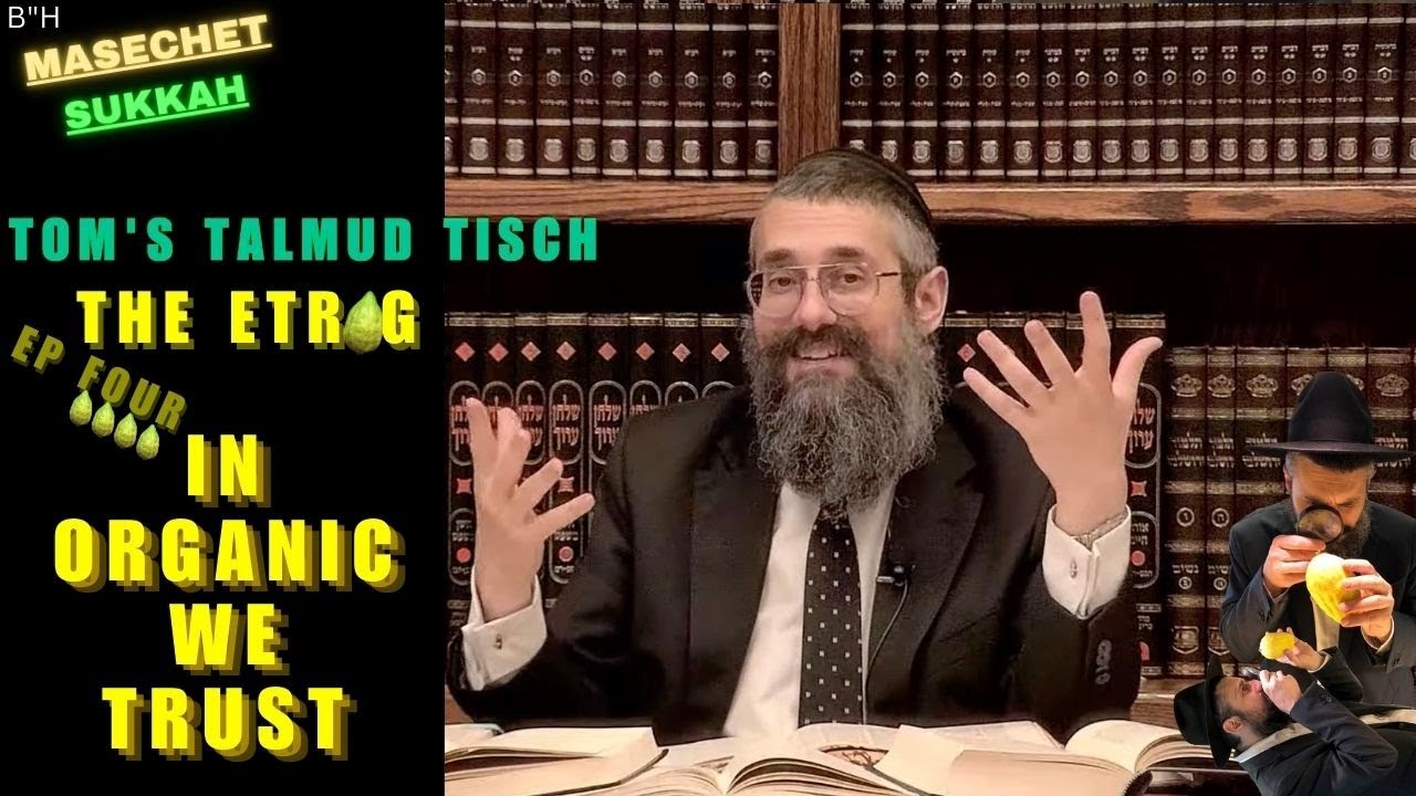 "In Organic We Trust" ~ TOM’S TALMUD TISCH: The Etrog, Part Four. Masechet Sukkah, Chap. 3, Page 35a thumbnail