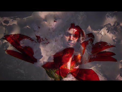 Didula Tharusara - Priyadari (ප්‍රියාදරී) ft. Cozzy [ Official Music Video ]