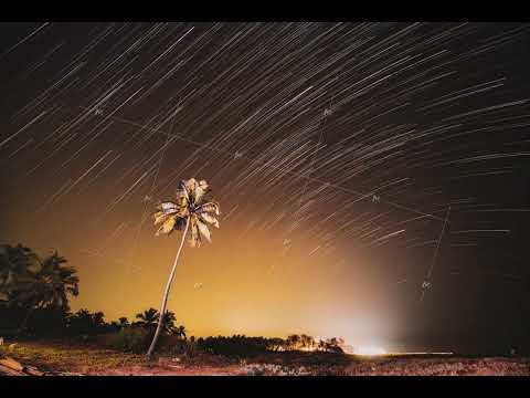 Night Starry Sky Over Tropical Beach With Lonely Palm Tree. 5k Timelapse. Unusual Amazing Blurred
