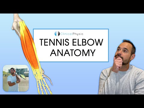 Tennis Elbow Anatomy | Expert Physio Review