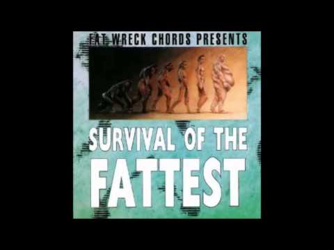 Survival Of The Fattest - Diesel Boy - Titty Twister