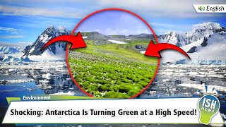 Shocking: Antarctica Is Turning Green at a High Speed!