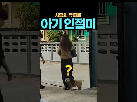 아기 인절미가 이어준 인연 ㅋㅋㅋ