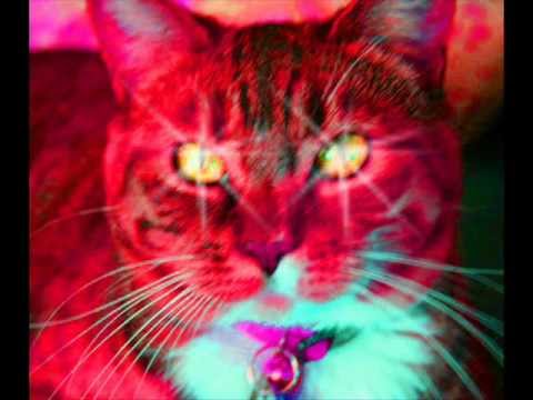 Hazel E ft.Judy Kang Frenemy