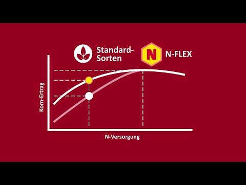 N-FLEX Raps von LG - mehr Ertrag dank optimierter Stickstoff-Nutzungseffizienz