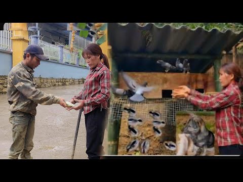 An worked hard, earning money with his calloused hands to develop the farm.