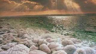 Marco Borsato - Vogel vrij