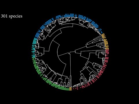 Statistical Rethinking 2022 Lecture 18 - Missing Data