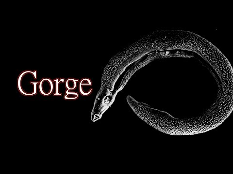 "Gorge" by Levi Salvos - Creepypasta