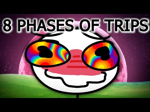 The 8 Phases of a Mushroom Trip
