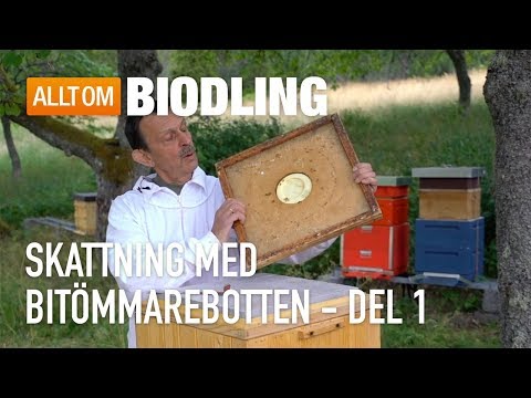 Skattning med bitömmarebotten Del 1 - Biodling