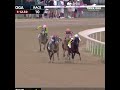 JIM DANDY SKAKES 2026  #horse #horseracing #renegade #caballosdecarreras