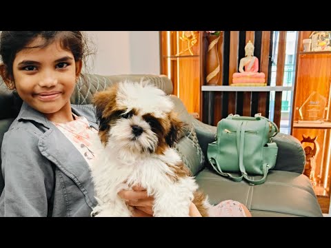 after long time apart, MILO'S excitement after seeing sathvika