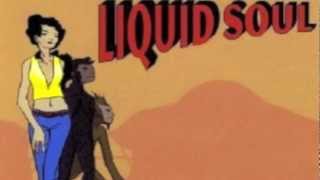 The Lonely Bull - Liquid Soul