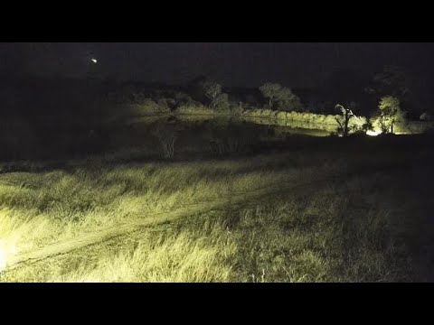 Djuma: Fireball/Bolide seen over Djuma in Sabi Sand - 02:02 - 07/14/20