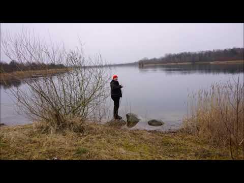 ASV Hamburger Angler e V  -  Zweedorf