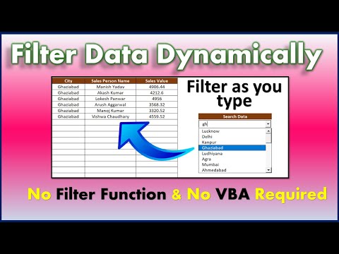Dynamic Filter in Excel Filter As You Type Excel VBA