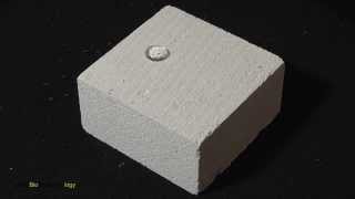 NL Bionic Technology