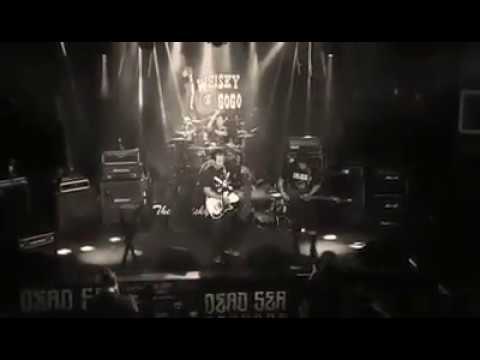 Trains.Hitting.Cars                 "ColdCock"