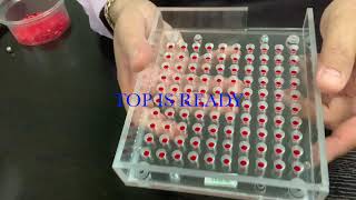 SIZE 4 CAPSULE MACHINE   SD 480p