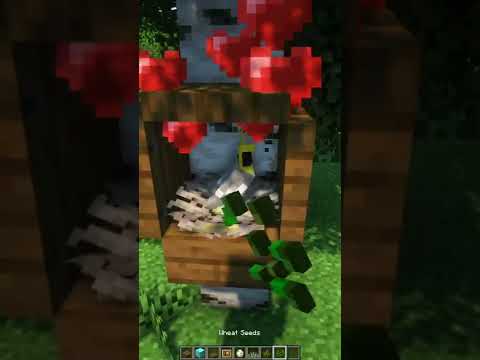 Realistic Parrot House in Minecraft! #shorts