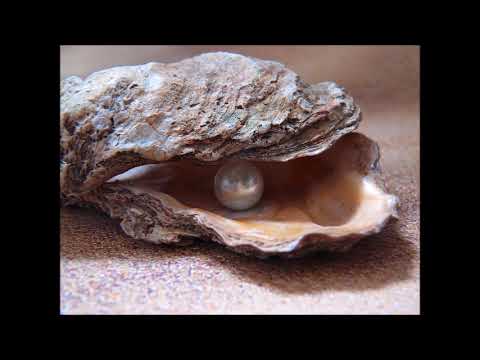 NEVILLE GODDARD - THE PEARL OF GREAT PRICE