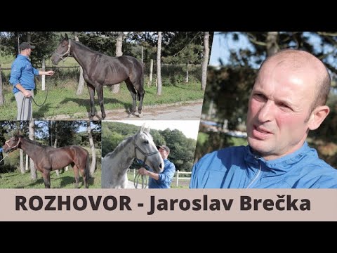 Pred Veľkou pardubickou 2020 u Jaroslava Brečku