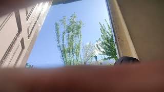 Download lagu Video Nanny Canon EosR5   RF85 f1.2.L. DSl PSL mp3