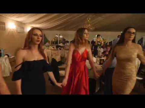 Dani Banateanu ❌ Colaj Etno ❌ O Zi Beau O Zi Petrec ❌ Nunta Alexandru si Andreea ❌