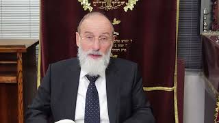 אמוד יומי מסכת שבת דף 82א