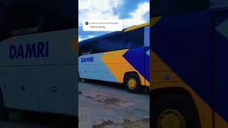 Download lagu New Damri 🥳✨️🔥🥰 so fun oh my boy #basuri #telolet #shorts mp3