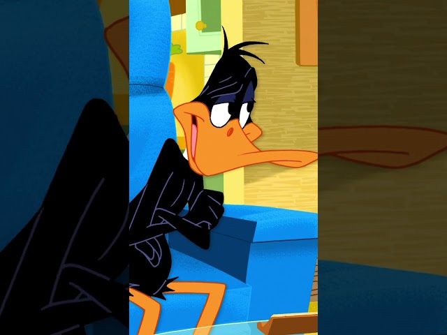 Vídeo relacionado con Puzzle Looney Tunes - Puzzle 500 Piezas Looney Tunes Bugs Bunny