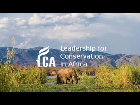 Protecting the Lower Zambezi