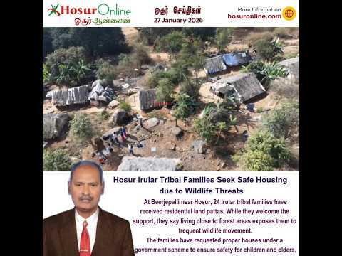 Irular Tribal Families at Beerjebpalli Near Hosur Seek Safe Housing Amid Wildlife Concerns
