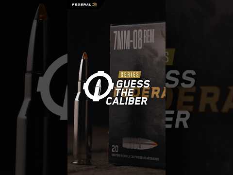 Federal Premium PUNCH 22lr Ammo