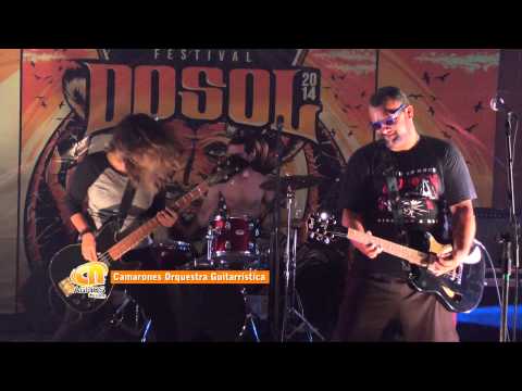 Camarones no Festival DoSol 2014