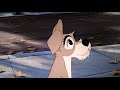 La Belle Et Le Clochard Extrait Clochard Wmv