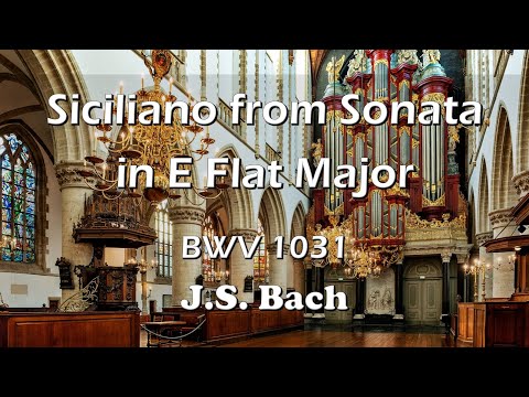 J.S.Bach - Siciliano from Sonata in E Flat Major BWV 1031 / Müller Organ, St. Bavokerk, Haarlem(HW7)