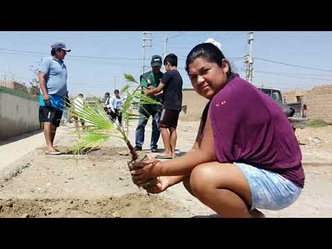, video de YouTube