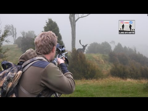 Ein prächtiger Hirsch im Nebel! Damit hatten wir nicht gerechnet! Brunftjagd. Schuss auf 10 Meter...