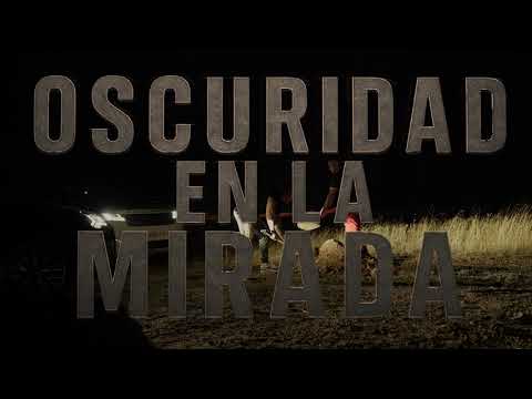 BLESSED013 and D0BLE0