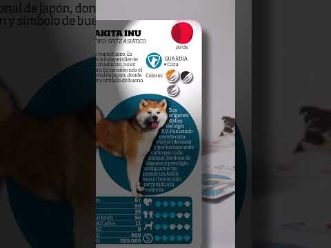 Cómo se juega