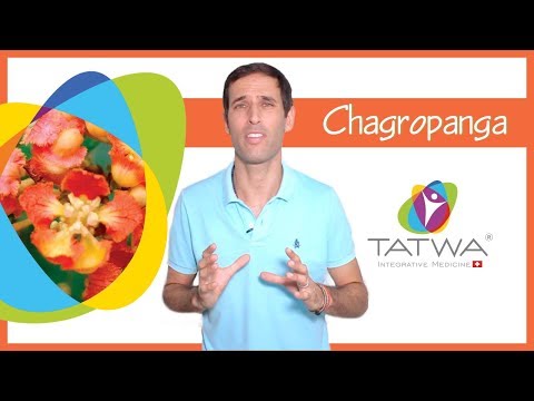 Videos from Tatwa Sàrl