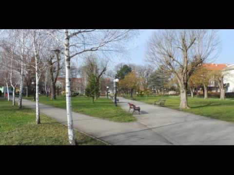 Michal Darmotsky   V tej Pazove jest pekna zahrada