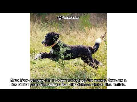 Nature's Recipe Grain Free Small Breed Dog Food Review: Is It Worth the Price?