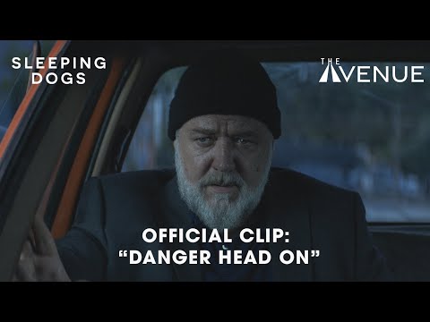 Danger Head On