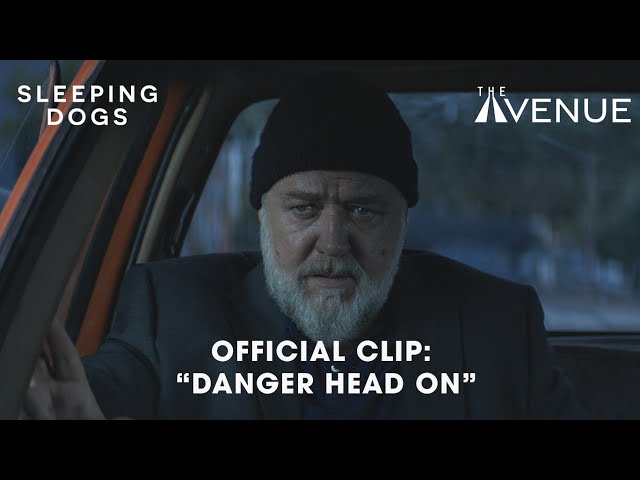 Danger Head On