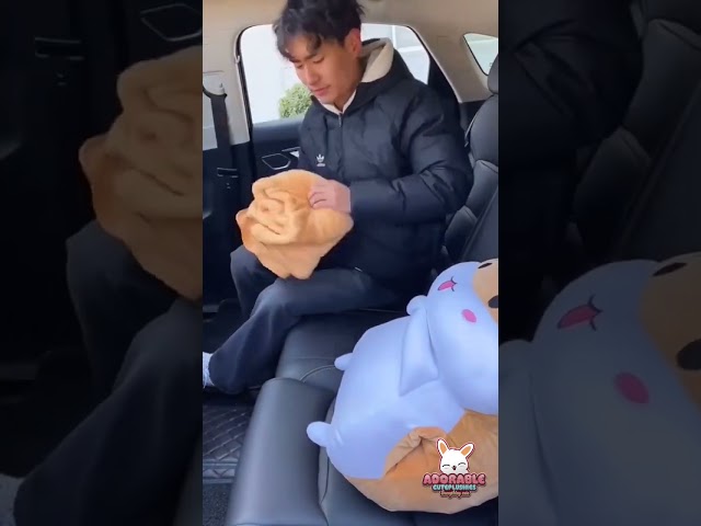 Vídeo relacionado con NICI- Hámster de Peluche Shai con Taza, 35 x 33 x 12 cm, Gris, Suave muñeco mymochi, Moderno, para abrazarlo o como Adorno, Gran Regalo para niños y Personas Adultas, 62395, Color
