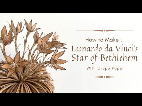 HOW TO MAKE - LEONARDO DA VINCI'S STAR OF BETHLEHEM with Paper